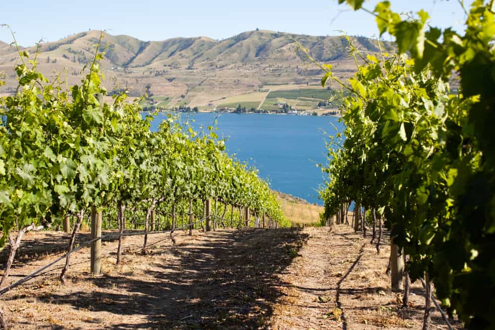 Spend an Afternoon Exploring Wineries Near Lake Chelan