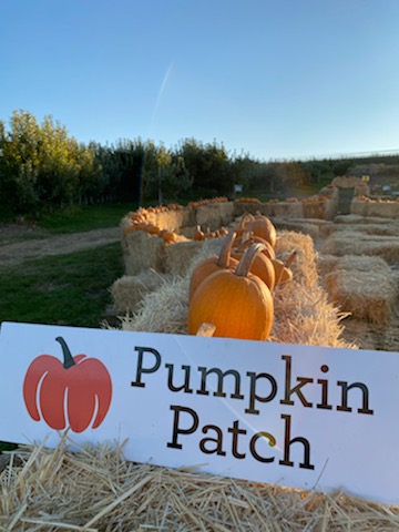 Pumpkin Patch at Chelan Valley Farms